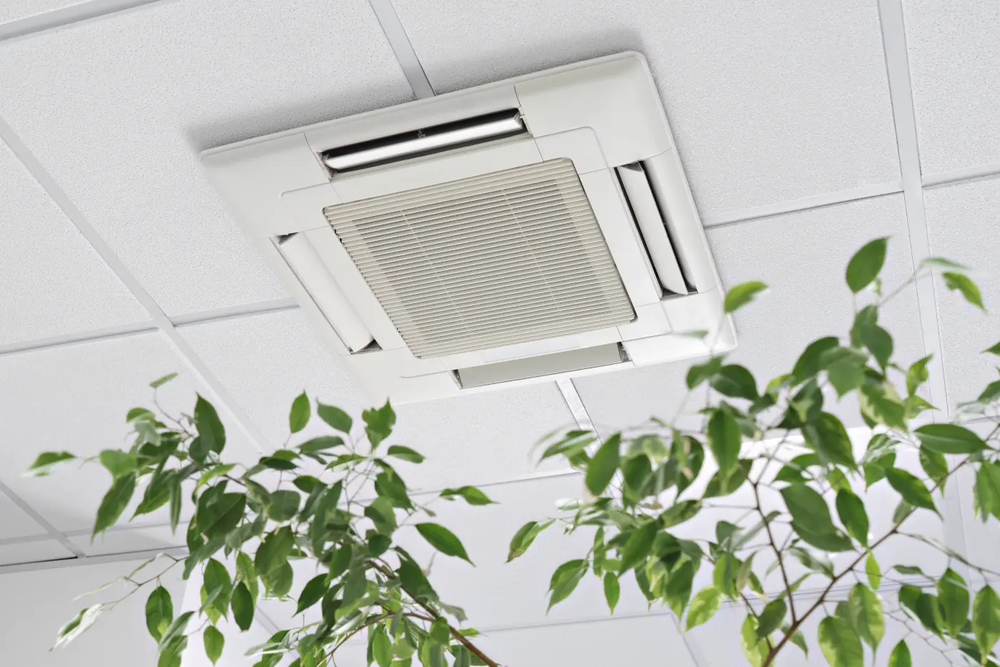 Borts-HVAC IAQ vents with filters